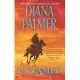 Untamed: A Western Romance