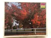 Sealed Vintage Whitman Haverhill, New Hampshire 1000 Piece Puzzle 4777-23