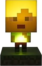 Icon Licht, Minecraft Alex