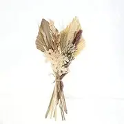 Bohemian Style Wedding Home Deco ion Cattail Fan su ower Leaves Palm Leaves DIY Flower ar Ment s Dried Flowers Cross-Border Supply Ben + Milk White Leaf Multicolor569 One Size