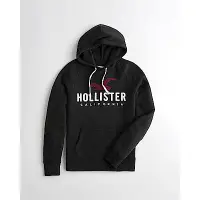 在飛比找Yahoo奇摩購物中心優惠-Hollister HCO 長袖 帽T 黑色 1139