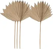 GARVALON 4pcs Dried Palm Leaf Ornament for Wall Decor Chic Wedding Party Decoration Rustic Home Accent for Hotels Cafes and Festivals