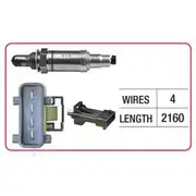 RAE Oxygen Sensor - OX616