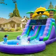 8M Commercial PVC Inflatable Bounce House Dual Water Slides 3.6M Big Pool Purple