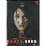 重金搖滾男的奇異旅程 DVD THIS MUST BE THE PLACE (西恩潘 法蘭西斯麥朵曼)