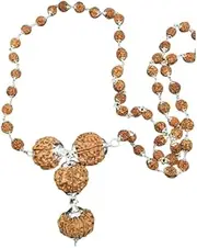 [Navkaarart] Rudraksha Combination for Business Power Marketing & Trading 7,7,8,13 Mukhi (Big) L