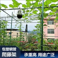 在飛比找樂天市場購物網優惠-爬藤支架 爬藤植物架子花架園藝支架包塑鋼管支撐桿葡萄豆角番茄