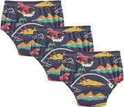 Caihoyu Little Boys Training Underwear Absorb Water Night Time Potty Training Underwear Trainer Underwear for Toddler Girls 5T Dinosaur Surfer Island