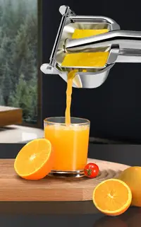 在飛比找樂天市場購物網優惠-304不銹鋼小型手動榨汁機檸檬夾榨果汁機水果機壓汁器堅果壓汁