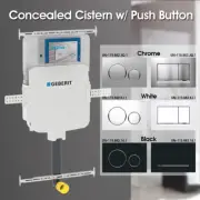 WELS InWall Toilet Frameless Geberit Concealed Cistern Round Square Push Button