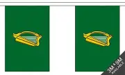 LEINSTER 3 metre BUNTING 10 FLAGS flag IRELAND IRISH EIRE