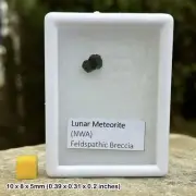 Genuine lunar nwa 8687 (2014) troctolite meteorite - space moon rock - certified