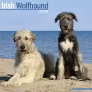 2025 Irish Wolfhound Wall Calendar (Online Exclusive)