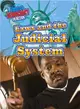 Laws and the Judicial System
