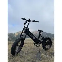 在飛比找蝦皮購物優惠-ANNO bike 高級電動腳踏車 電輔車  胖胎電動車（M