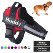 Dog safe custom chest collar