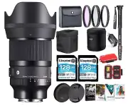Sigma 50mm f/1.4 DG DN Art Lens for SN E-Mount SD Cards, Card Reader, Corel Kit
