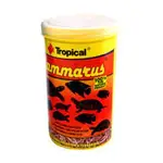 【魚宅】TROPICAL 高蛋白乾蝦 100ML 德比克 烏龜 兩棲 乾蝦 魚飼料 蝦乾 蝦 烏龜飼料 巴西龜 長尾龜