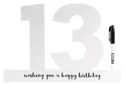 13th Birthday Sign It White With Marker