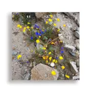 3dRose, Fargo Canyon springtime wildflowers, California, Wall Clock