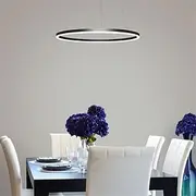 LED Pendant Light 40/60/80cm 1-Light Ring Circle Design Dimmable Aluminum Painted Finishes Luxurious Modern Style Dining Room Bedroom Pendant Lamps 110-240V ON