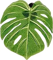 TOGEVAL Monstera Leaf Curtain Tieback Clip Holders for Drapes No Drilling Required Cute Home Decoration for Living Rooms Bedrooms Offices
