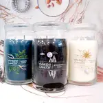 『WNP』YANKEE CANDLE 雅致彩繪系列 雙芯蠟燭 567G(20OZ) 海風 仲夏之夜 海灘漫步 鼠尾草柑橘