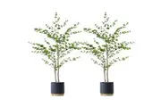 SOGA 2X 150cm Green Artificial Indoor Watercress Tree Fake Plant Simulation Decorative