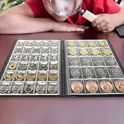 250 Pockets Coin Album, 10 Pages Coin Album Coin Collectors Sufficient Capacity Coin Collection Book Exquisite Workmanship for Medals for Coins for Badges(Brown)