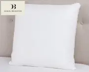 Daniel Brighton Gusseted European Pillow