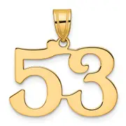 14k Yellow Gold Polished Number 53 Pendant