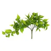 29" Light Green Pothos Bush by Ashland®