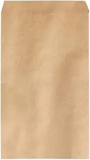(100PCS) Packets Mini Envelopes Kraft Paper Seed Bags Garden Home Storage Bags