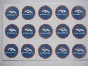 15 Denver Broncos all heads flat back buttons or pin badge cabochons magnets