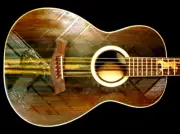 Blueberry Handmade Parlor Size Acoustic Guitar Horse Motif Pre-Order 90 Days