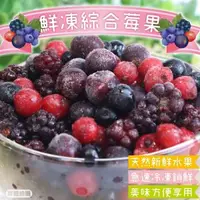 在飛比找森森購物網優惠-果物樂園-冷凍波蘭綜合莓果2包(約200g/包)