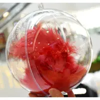 在飛比找蝦皮購物優惠-現貨 壓克力球 25cm 空心圓球高透明聖誕球塑料PS環保 