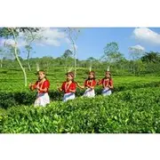 Save 6.00%! Private Tour: 5 Days - Bangladesh Nature & Culture Tour - North-eastern part