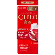 CIELO宣若 EX染髮霜6深栗棕