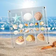 [Shcsdr] Acrylic Magnetic Seashell Display Box, 5.6x5.6in Large Size Seashell Storage Box Decorative Box for Seashell Starfish Trinket, Small Craft Organizers Display Case for Bead, Nail, Jewelry (18 Grids)