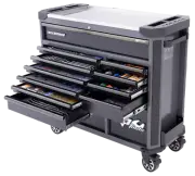 Toolkit 369Pc Metric/Sae Diamond Black Roller Cab Tool Kit