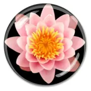 Lotus Paperweight Crystal Japan Paperweights