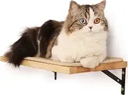 FUKUMARU Floating Wall Shelf with Cat Scratching Mat, 0.79 Inch Thick Solid Rubber Wood Hanging Shelves, 15.7 x 10 Inch