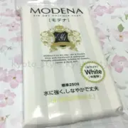 PADICO Pajiko Resin Air Dry Polymer Modeling Clay modena 250g White JAPAN