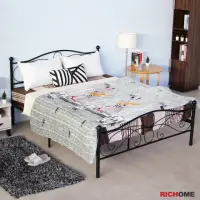 在飛比找momo購物網優惠-【RICHOME】法蘭工業風經典設計5尺雙人鐵床(鐵床/床架