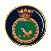 HMS Antrim, Royal Navy Pin Badge