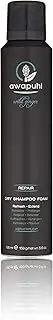 Paul Mitchell Awapuhi Dry Shampoo Foam 195 ml