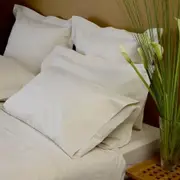 Hemp-Organic Cotton Pillowcase Pair - European