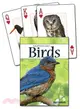 Birds of the Northeast Playing Cards