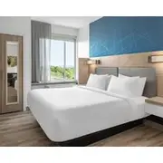 SpringHill Suites by Marriott Roanoke North